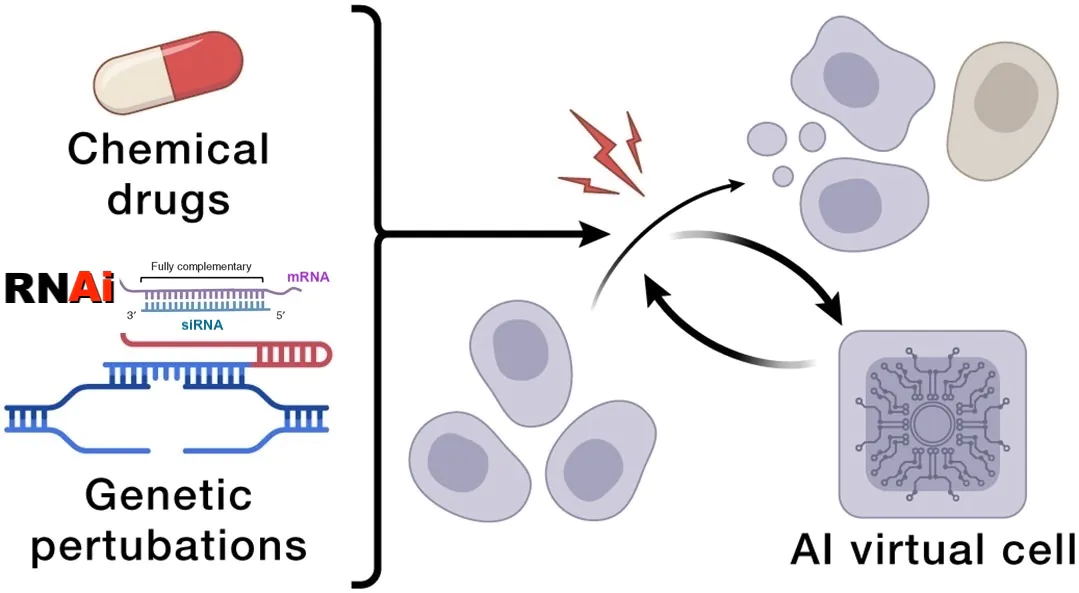 RNA Talk research diagram