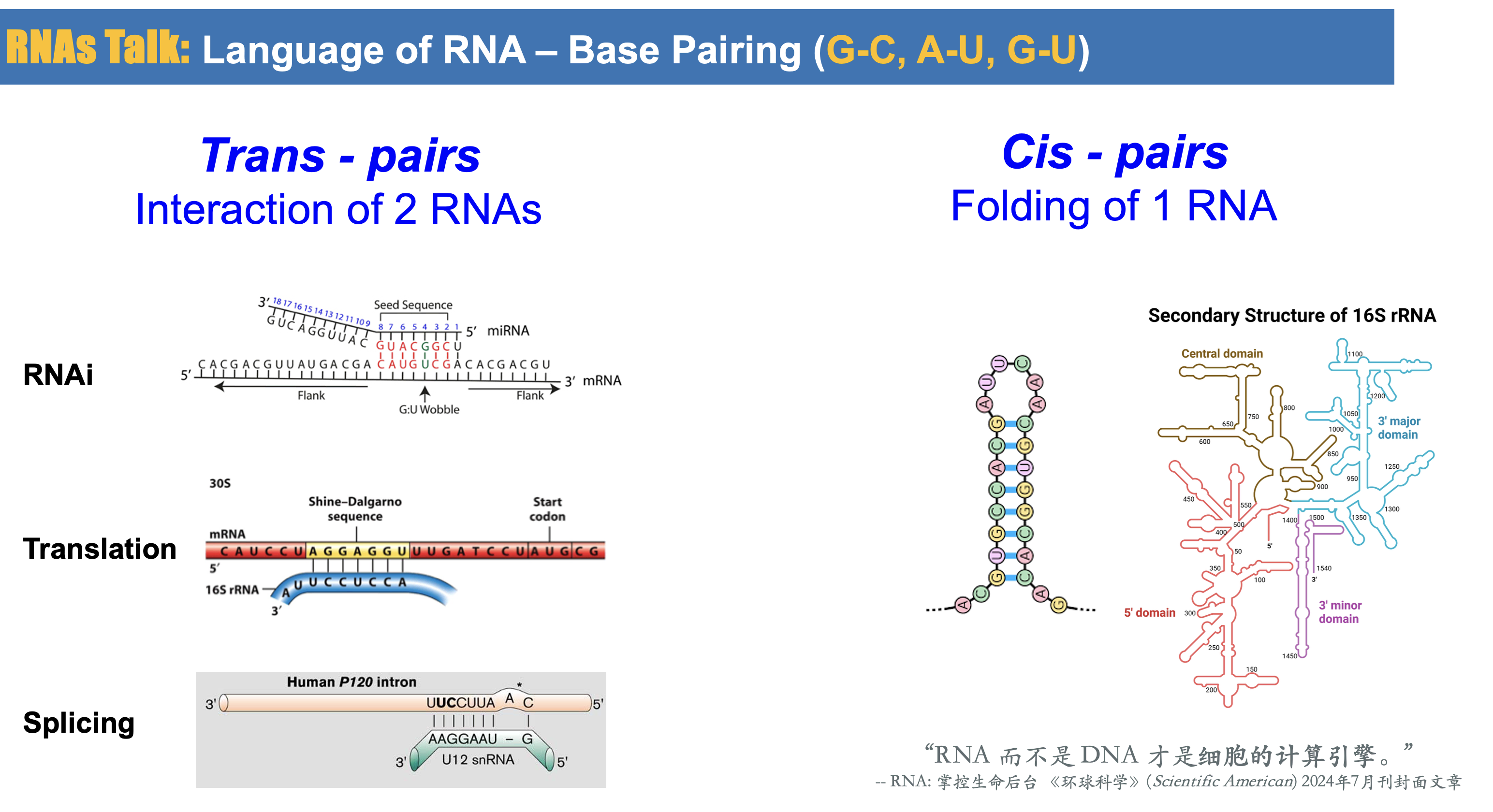 RNA interactions
