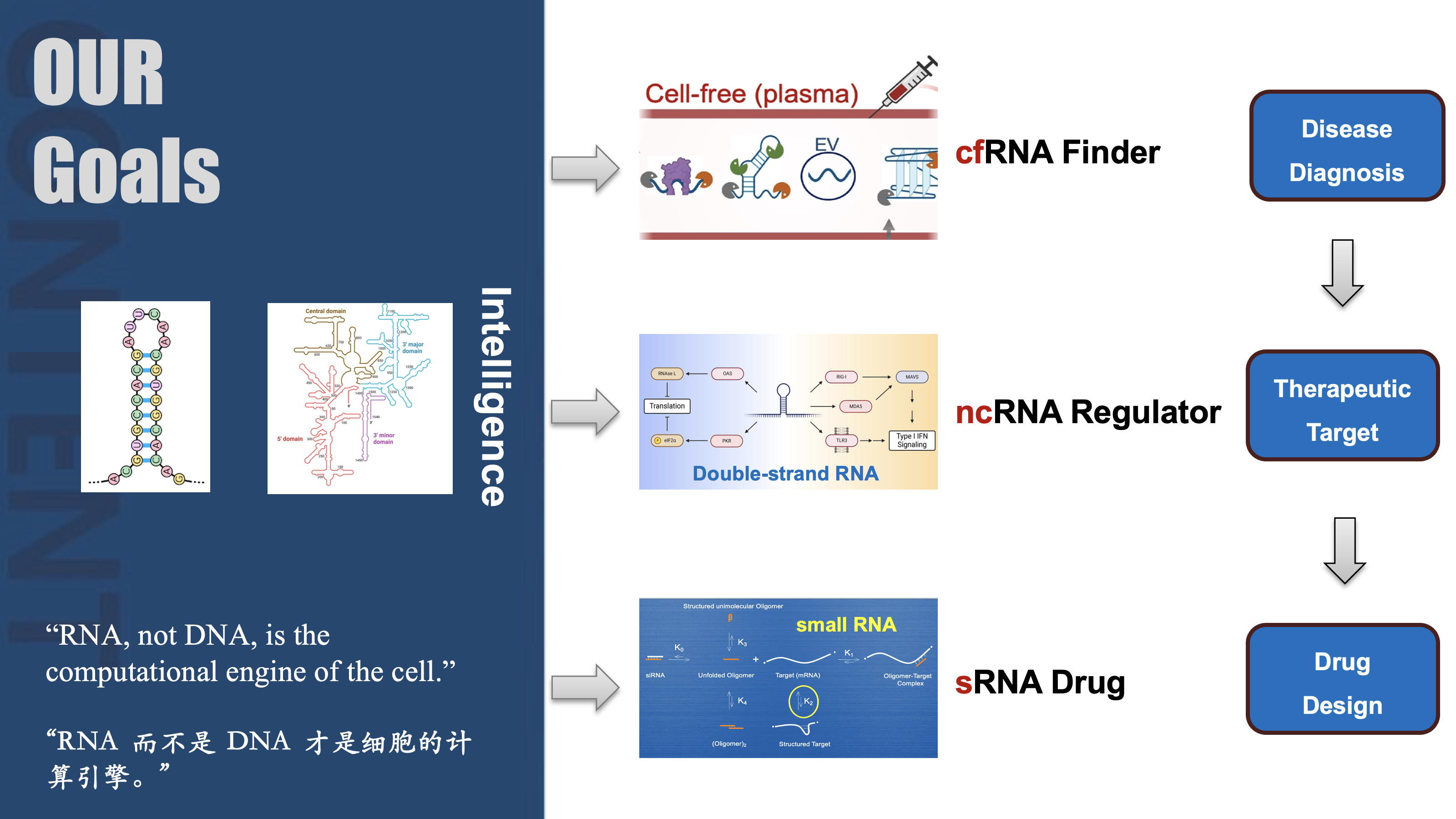 Goals of RNA intelligence
