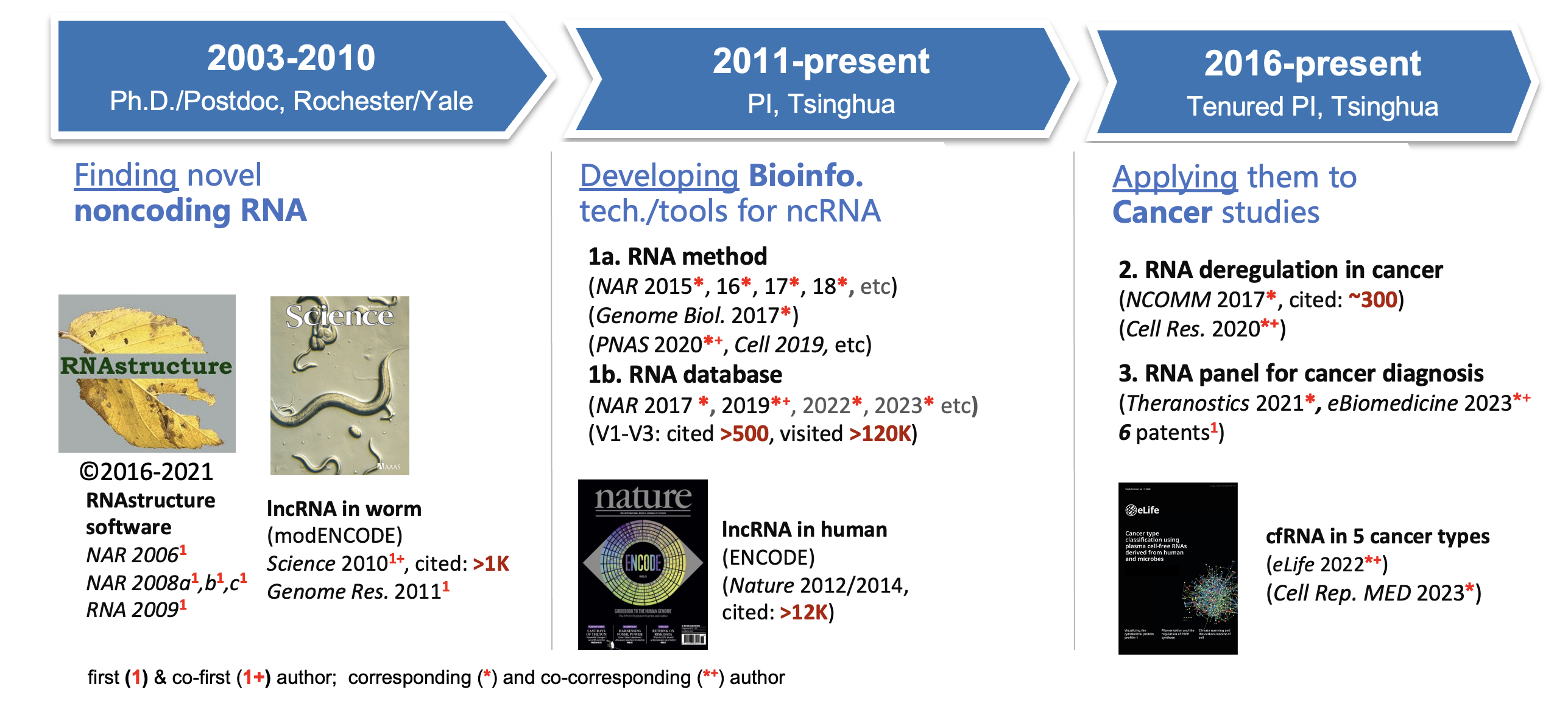 Bioinformatics Studies for noncoding RNA